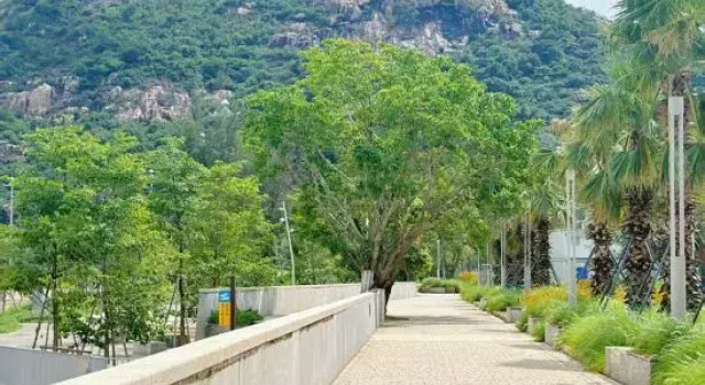 Shenzhen Dongshan Haigang Homestay, Rezerwuj Hotel Hotele w Shenzhen z parkingiem, Parking