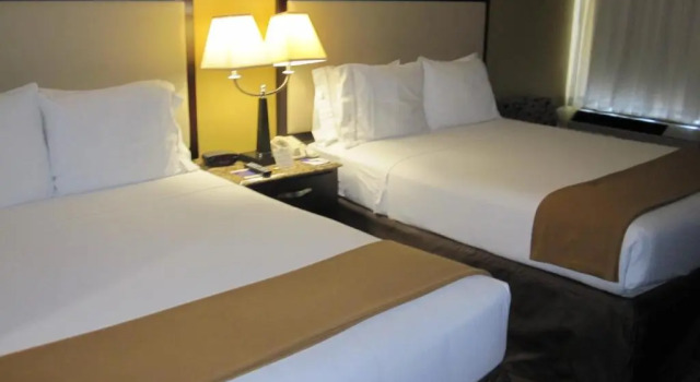 Четырёхместный номер Standard Radisson Hotel Schaumburg