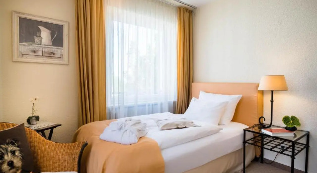 Номер Comfort Hotel zur Mühle