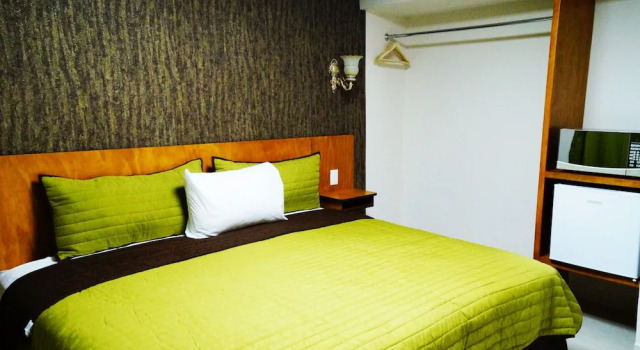 Полулюкс Royal Madero Inn