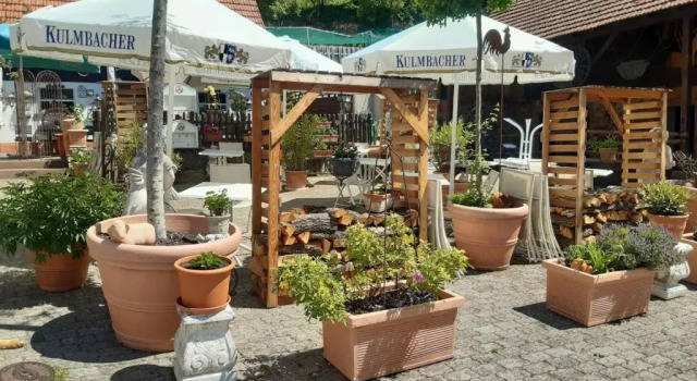 Одноместный номер Economy Landgasthof Zur Schönen Aussicht Weiher