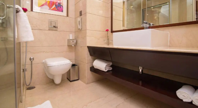 Трёхместный номер Deluxe Shakun Hotels And Resorts