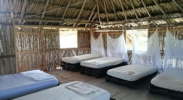 Номер Standard Moon Wind Tayrona Hostel
