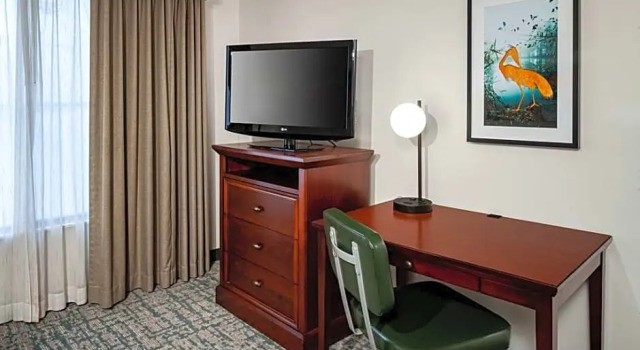 Четырёхместный номер Standard Homewood Suites by Hilton Gainesville