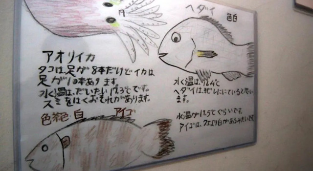 Коттедж Shirahama White Beach House
