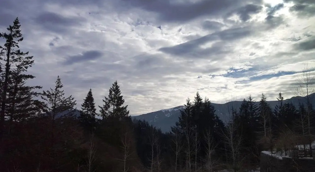 Номер Deluxe Carson Hot Springs Resort & Spa
