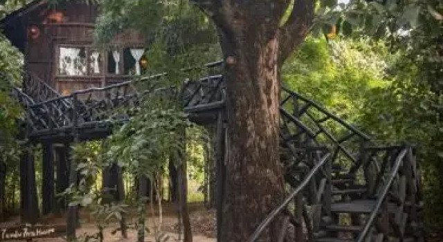Tree House Hideway Bandhavgarh