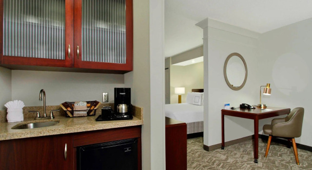 Двухместная студия SpringHill Suites by Marriott Chesapeake Greenbrier