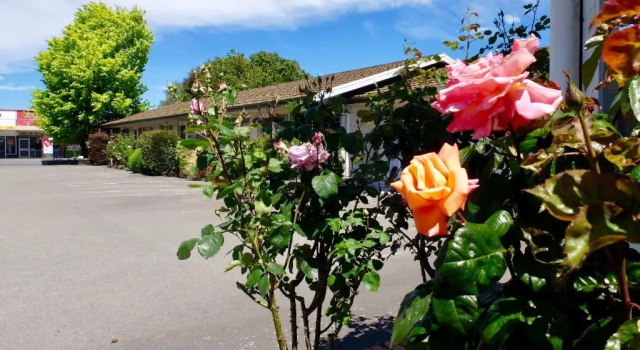 Студия Standard Ilam Motel