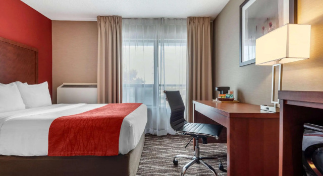 Четырёхместный номер Standard Spark by Hilton Oshawa