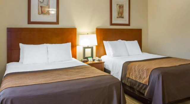 Четырёхместный номер Deluxe с видом на бассейн Comfort Inn Cockatoo Near LAX Airport