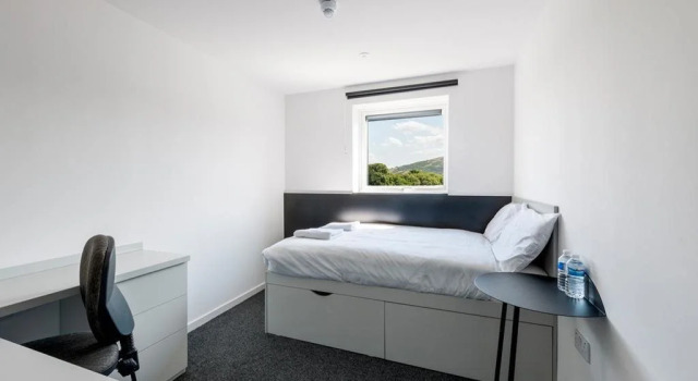 New Park Summer Stays