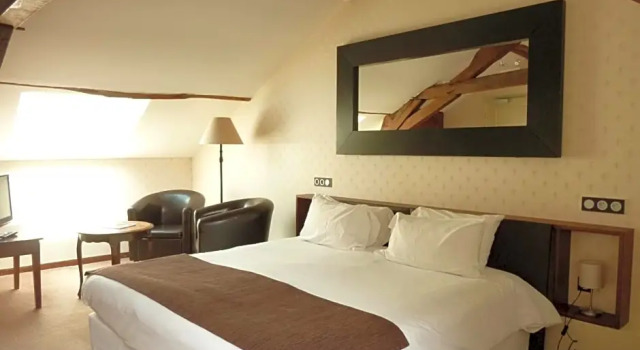 Komfort- værelse Hôtel Grand Monarque