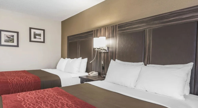 Четырёхместный номер Standard Comfort Inn Trenton