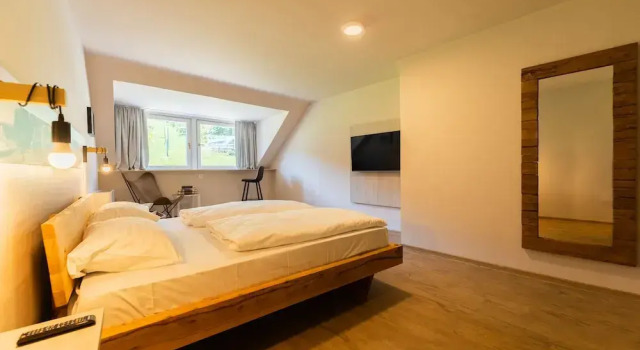 Двухместный номер Standard с красивым видом из окна Hotel Arena Maribor