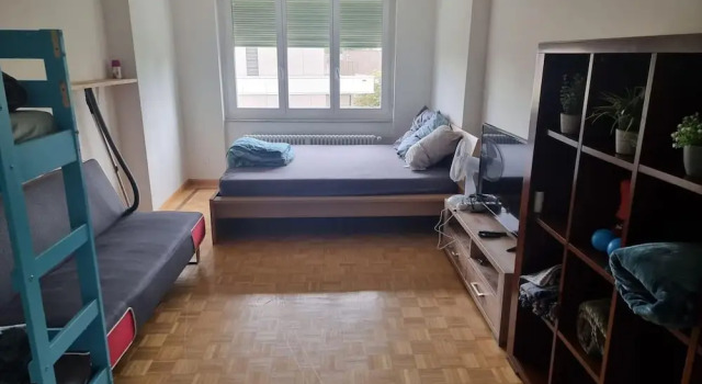 Stunning 3-bed Apartment in Basel, Забронировать Апартаменты/квартира Апартаменты Базеля, рядом с Кафедральный собор Базеля, Апартаменты/квартира
