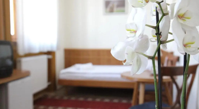 Номер Standard Hotel Corvinus