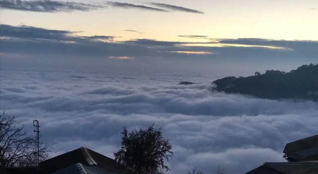 Люкс Deluxe Tarangi Mussoorie