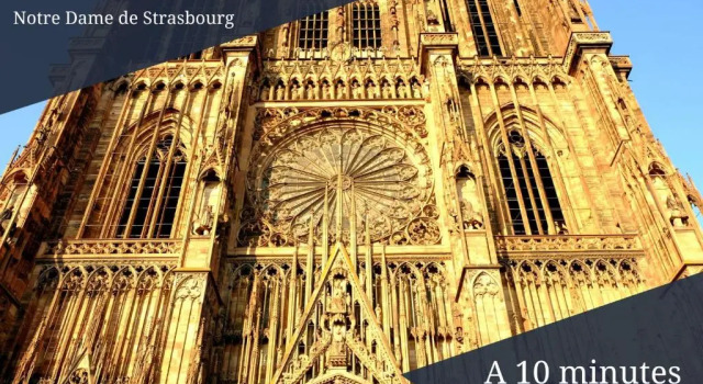 Апартаменты L'Académie - GOLDEN TREE - Parking Privé & Wifi - 5 min centre ville de Strasbourg