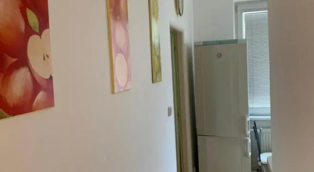 Апартаменты Apartment Botanika2