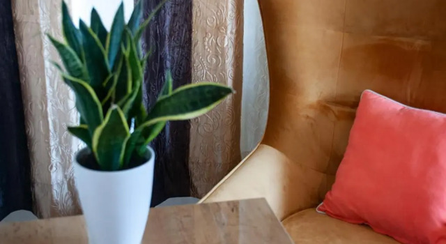 Номер Standard Hotel Isha