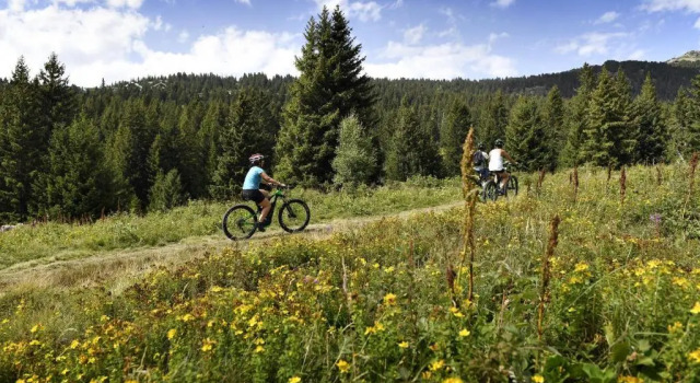 Апартаменты La Grive FAMILLE & MONTAGNE appartements 2 pièces 6pers montagne ALP by Alpvision Residences