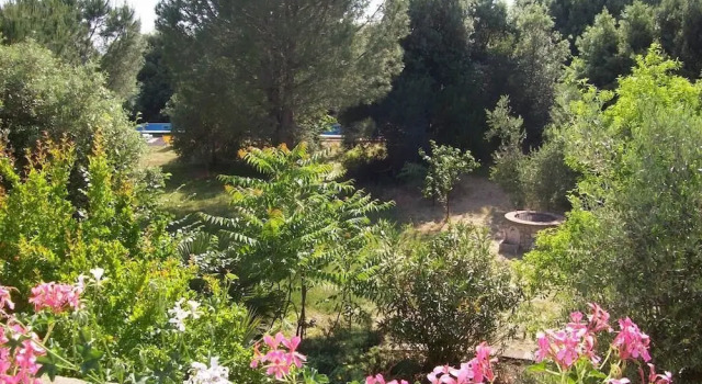 Agriturismo Gesseta, Забронировать Отель Кастеллина-Мариттима Берег Этрусков