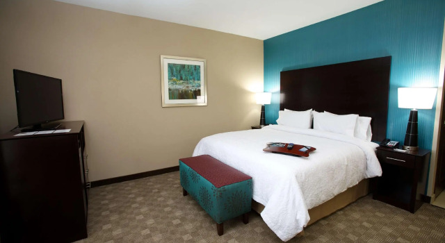 Двухместный номер Standard Hampton Inn and Suites Missouri City