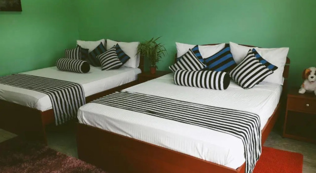 Четырёхместный номер Standard New Blue Home