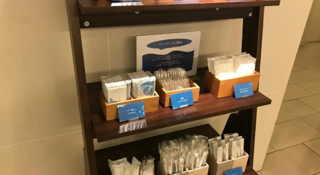 Одноместный номер Meitetsu Inn Nagoya Nishiki