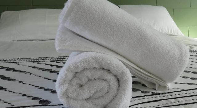 Двухместный номер Standard Kuirau Park Motor Lodge- Thermal Mineral pool