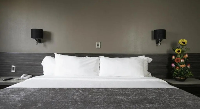 Номер Standard Hotel Brasilia