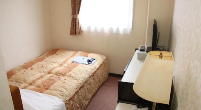 Одноместный номер Business Hotel Nissei