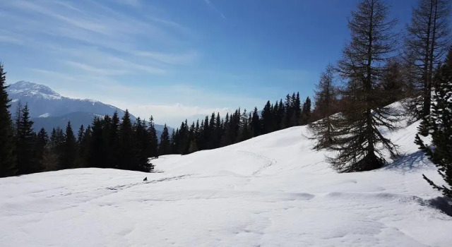 Haus Rupitsch, Prenota Hotel Winklern Grossglockner