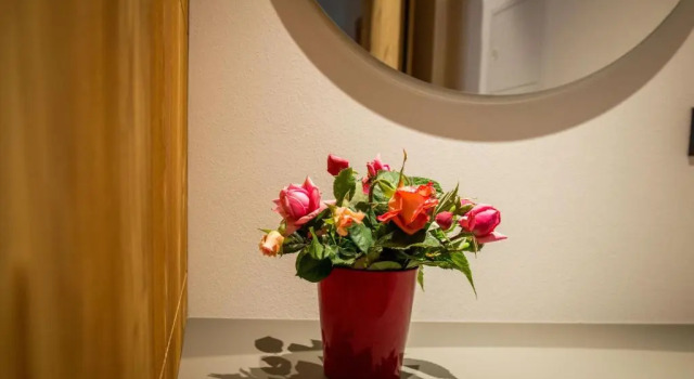 Полулюкс Agritur Renetta