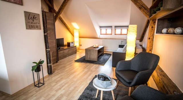 Апартаменты c 1 комнатой Tylova Apartments