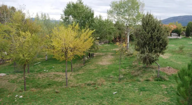 Camping El Picachuelo, Varaa Leirintäalue Hotellit Madridin maakunta pysäköinnillä, Pysäköinti