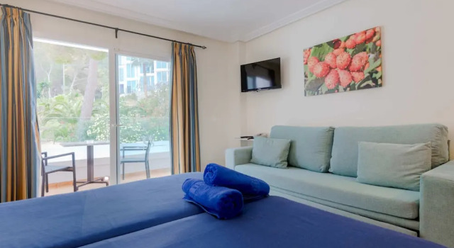 Студия Standard Hotel El Pinar