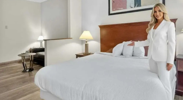 Люкс Standard Robinson Inn and Suites