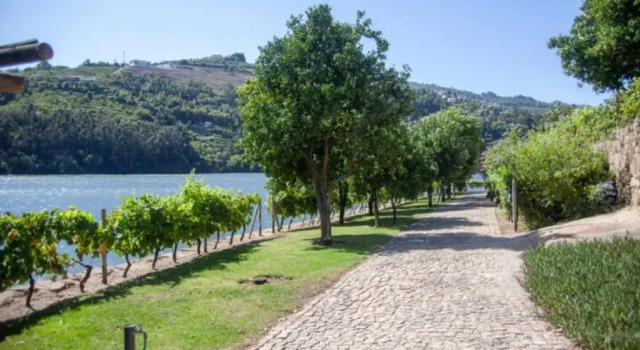 Inside Douro, Book Hotel Hotels in Centro with a Pool, Swimming Pool