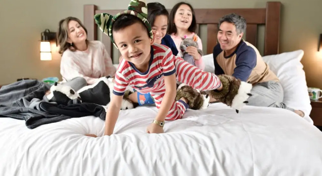 Семейный люкс Great Wolf Lodge Arizona