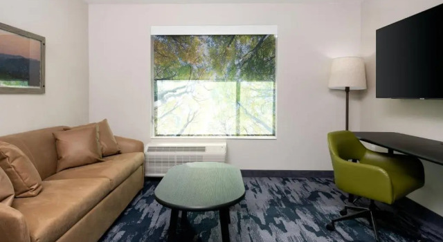 Двухместный люкс c 1 комнатой Fairfield Inn & Suites by Marriott Canton Riverstone Parkway
