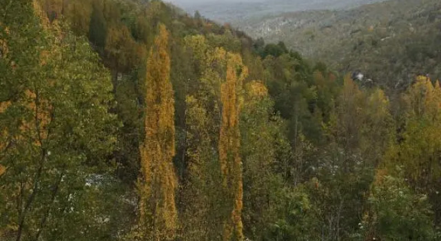 Casa Pirineu, Varaa Huoneisto Esterri de Cardos 
