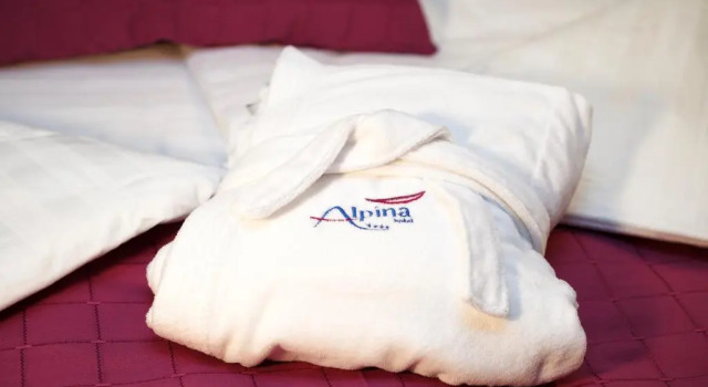 Номер Standard Hotel Alpina