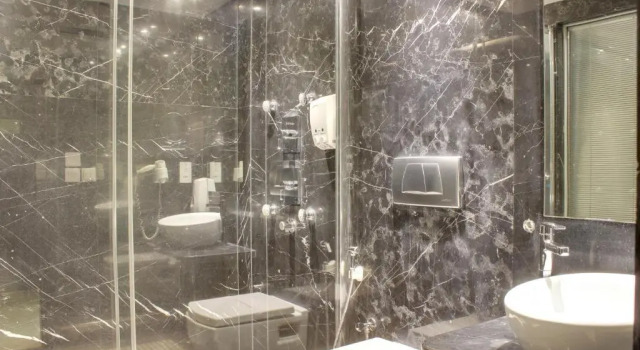 Двухместный номер Standard HOTEL GODWIN DELUXE NEAR CONNAUGHT PLACE Offers FREE AIRPORT PICKUP