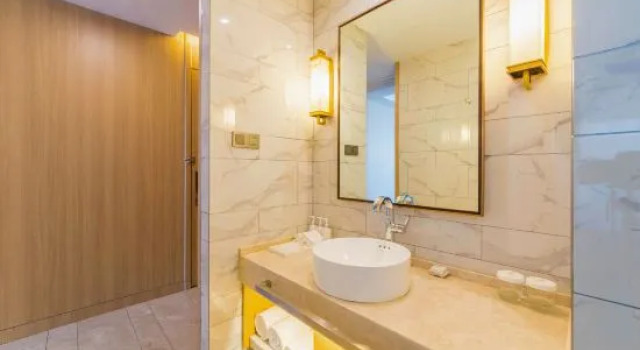 Люкс Superior Metropolo Wuhan Optics Valley Convention & Exhibition Center Hotel