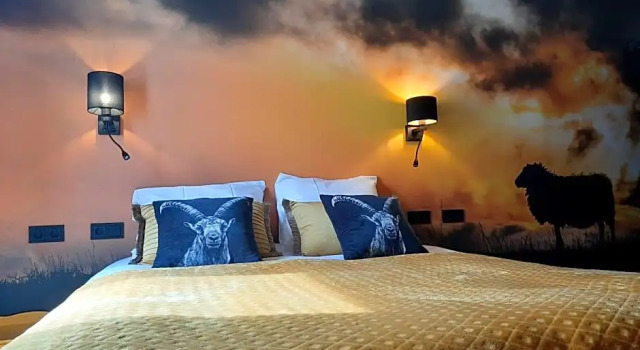 Boutique Hotel de Drentse Liefde, 预订 精品酒店 德文格洛 德伦特省