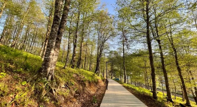 Crystal Ville, Rezerwuj Hotel Bakuriani Samckhe Javakheti