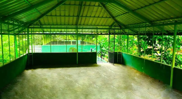 Shibi's Tea Garden Heritage