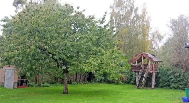 Ferienwohnung Zirtow SEE 8351, Забронировать Отель Отели Мекленбургское поозёрье с парковкой, Парковка